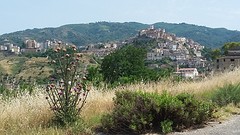 corigliano