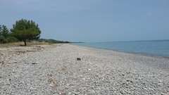 heel aleen aan het strand