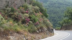 20160529_122138