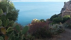 kaapmilazzo