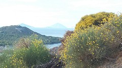 20160601_183919