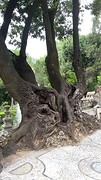 20160617_140739