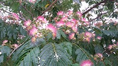 20160617_174841