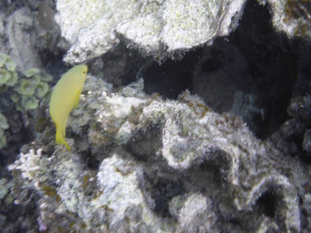 P1010483