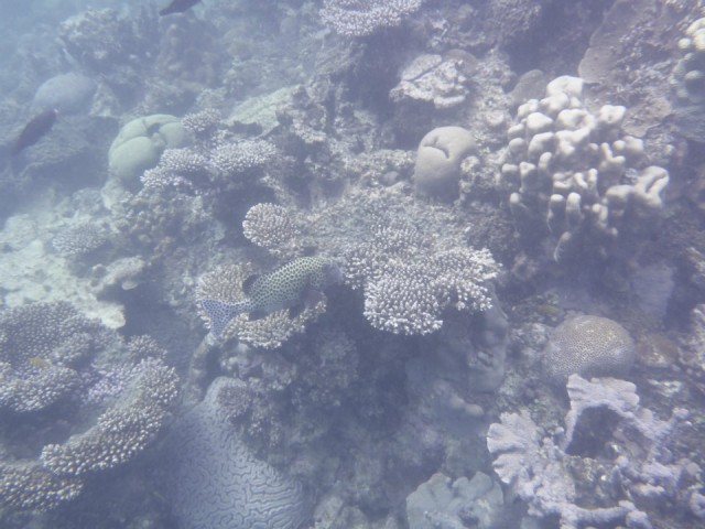 P1010579