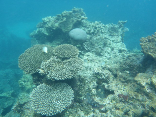 P1010595