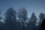 terugweg