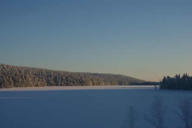 terugweg