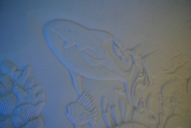 fishyy