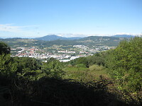 IMG_1315