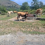 IMG-20220824-WA0066