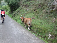 IMG_1388