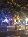 IMG_20220828_221632