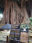 IMG_20220828_221318
