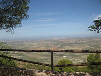 IMG_1458
