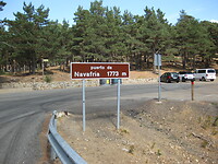 IMG_1549