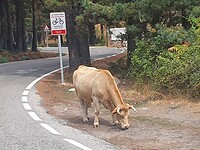IMG-20220909-WA0006