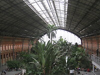 IMG_1635 (1)
