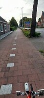 Dongen