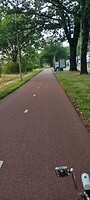 Naar Dongen