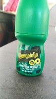 Zweeds muggenspul