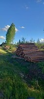 Hout langs de weg, echt in Zweden.