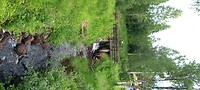 De waterloop bij Härliga Härjedalen