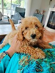 Mag ik me voorstellen, ik ben Pippi.