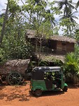 Isiwara herbal garden
