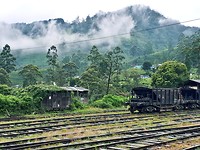 Train station @ Eliyah