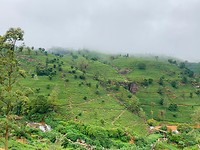 Haputale