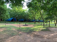 Tented camp @ Udawalawe