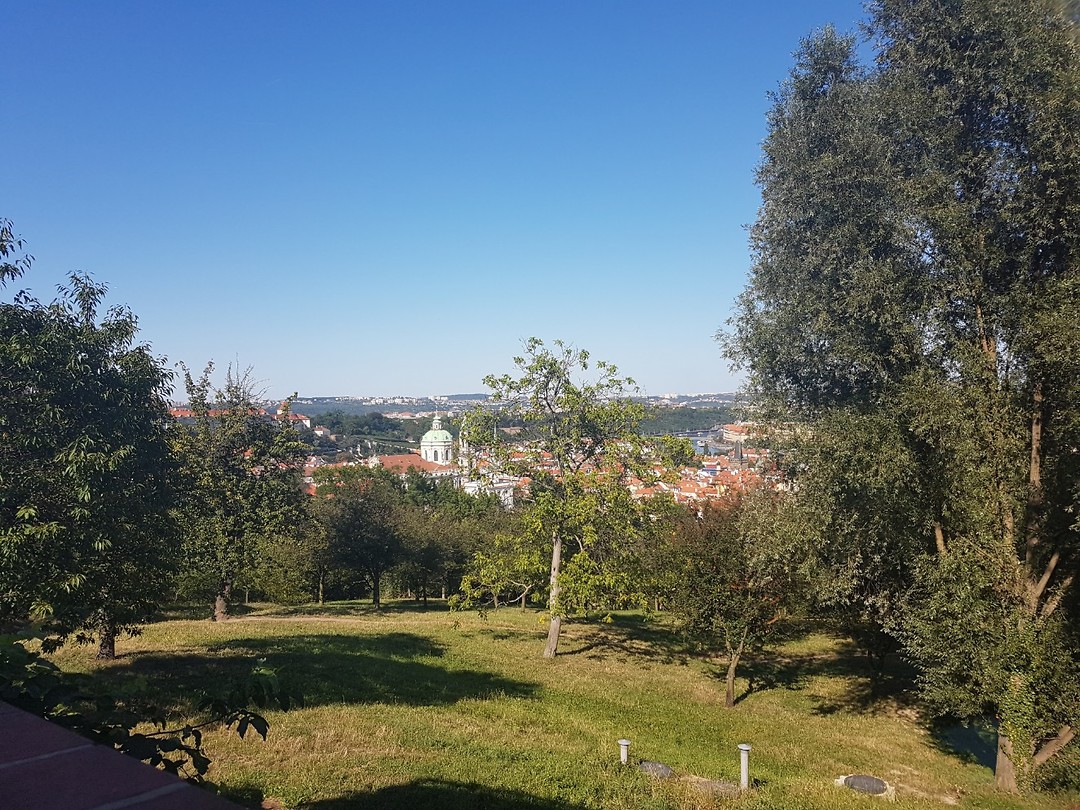 20170807_163529