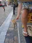 20170812_183259