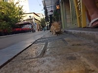 20170812_183308