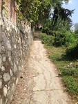 IMG_3584