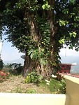 IMG_3591