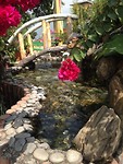 IMG_3657