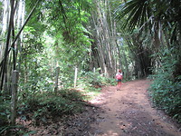 Jungle wandeling