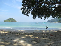 Coral bay