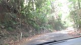 20181130131931_MVI_4793