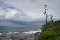 DSC01885