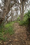 DSC01893