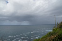 DSC01895