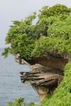 DSC01903