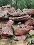 IMG_20200314_135106