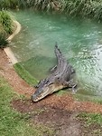 IMG_20200314_133948