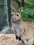 IMG_20200314_121958