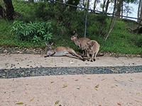 IMG_20200314_121842