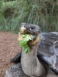 IMG_20200314_120925